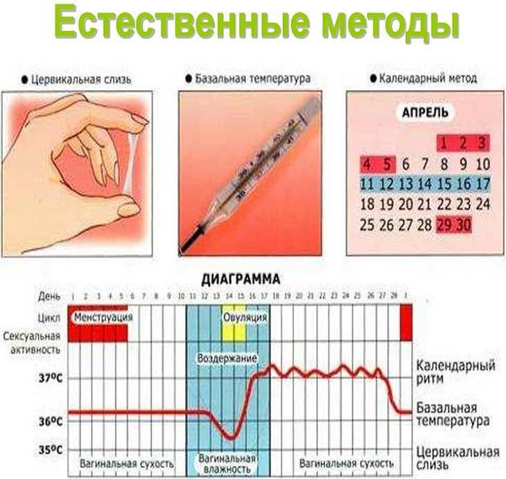 Выделения картинки после овуляции