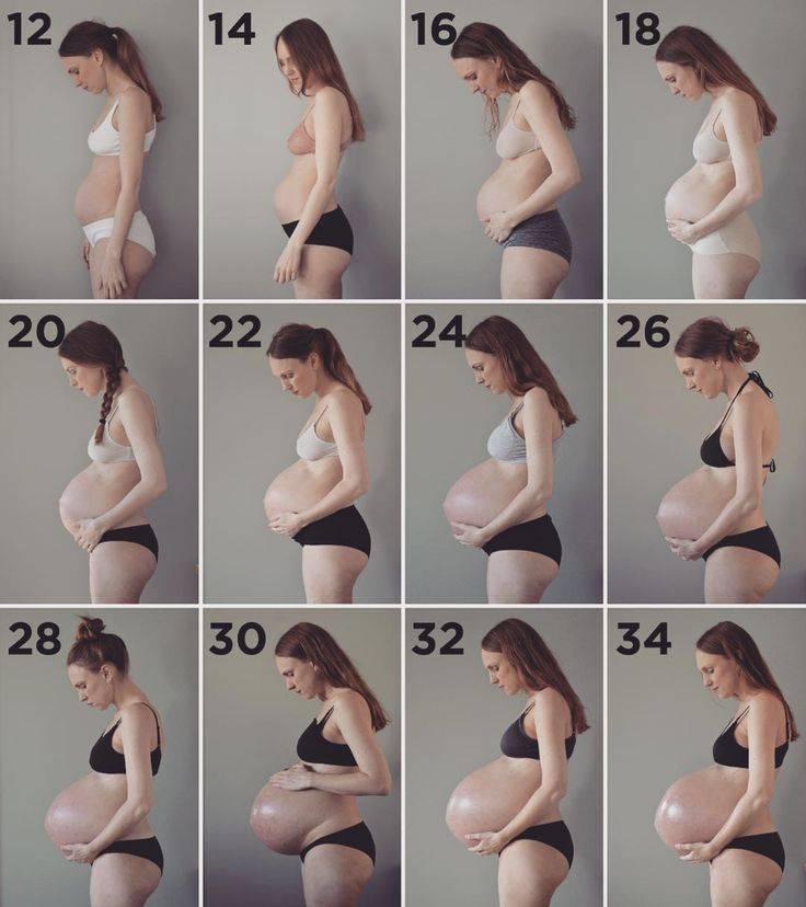 Когда начинает расти живот при беременности: на какой неделе, на каком сроке при повторном вынашивании, откуда увеличивается и как активно при двойне