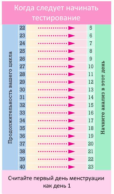 Сколько недель 2 3. Триместры беременности по неделям. Как можно забеременеть. Триместры беременности по месяцам и неделям. Циклы беременности по неделям.