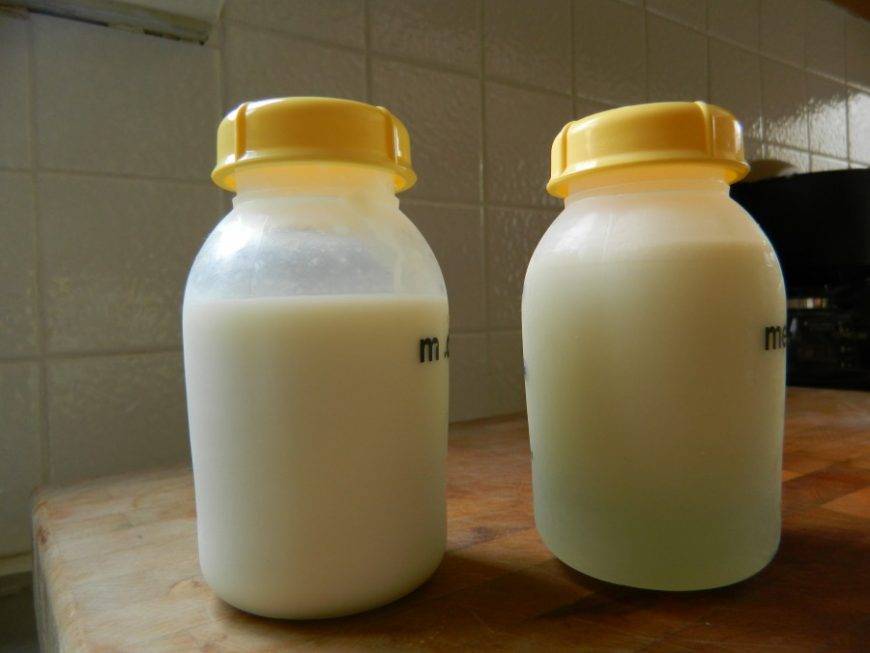Как определить процент жирности коровьего молока в домашних условиях