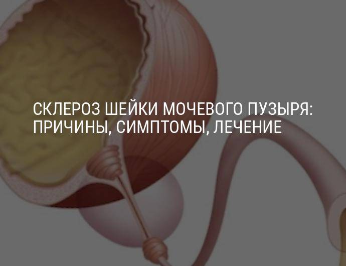 Азооспермия - симптомы заболевания | клиника "центр эко" в москве