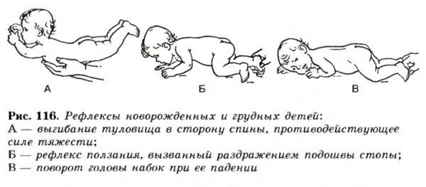 Детский церебральный паралич                (детский мозговой паралич, дцп, спастическая диплегия, болезнь литтла, болезнь литтля)