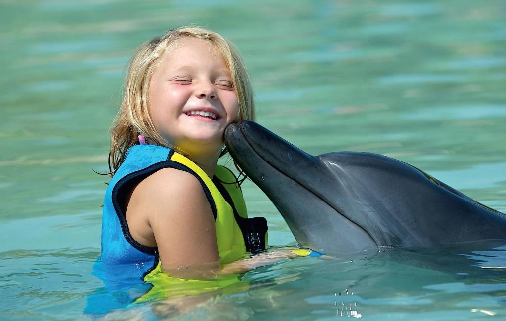 Дельфины лечат - терапия с дельфинами для детей в москве