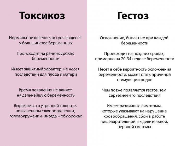Токсикоз при беременности: на каком сроке, когда начинается, сколько длится - причины, симптомы, как облегчить токсикоз