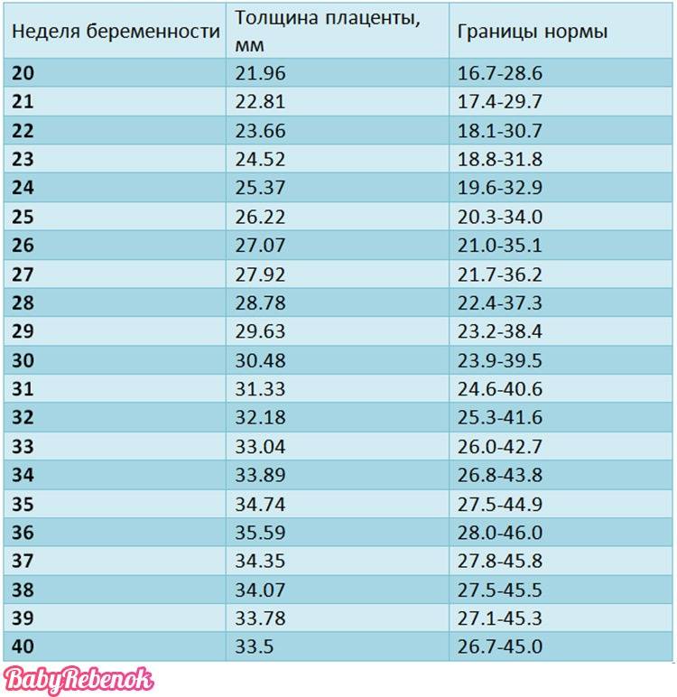 Таблица степеней зрелости плаценты по неделям и толщина. чем грозит раннее созревание - медицинский портал