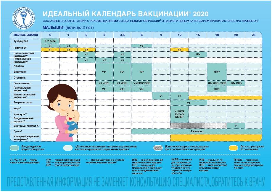 График прививок для детей до года. календарь прививок для детей до года — беременность. беременность по неделям.