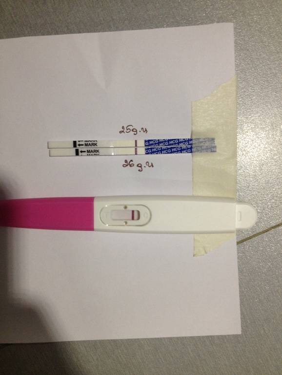 Покажет ли тест на беременность при месячных – влияние крови на результат анализа
