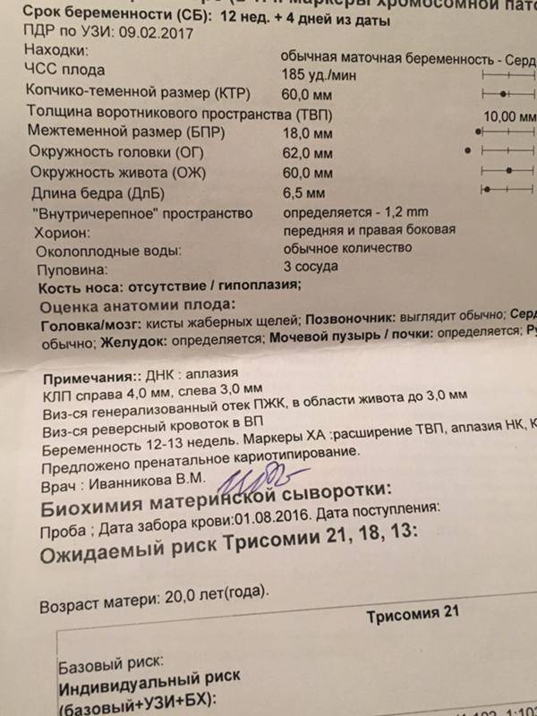 Беременность 12 мм. Фетометрия 2 скрининг норма. Фетометрия первый скрининг. Показатели УЗИ при беременности.