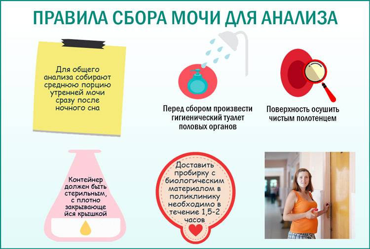 Полип при беременности: симптомы, причины, что делать – опасен ли полипоз у беременных на ранних сроках — медицинский женский центр в москве