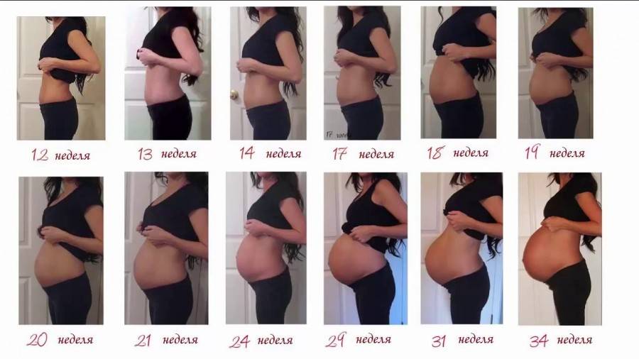 4 месяц беременности: ощущения женщины и размер живота, развитие плода