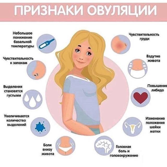 Признаки овуляции - боли, базальная температура и выделения | овуляция и беременность