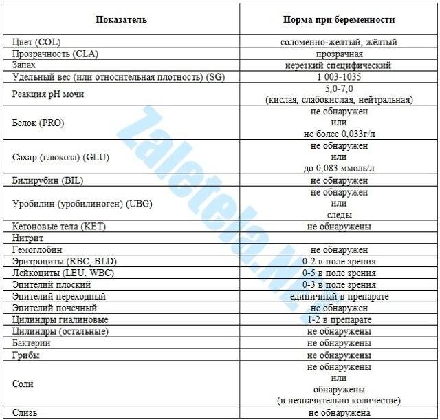 Причины появления крови в моче