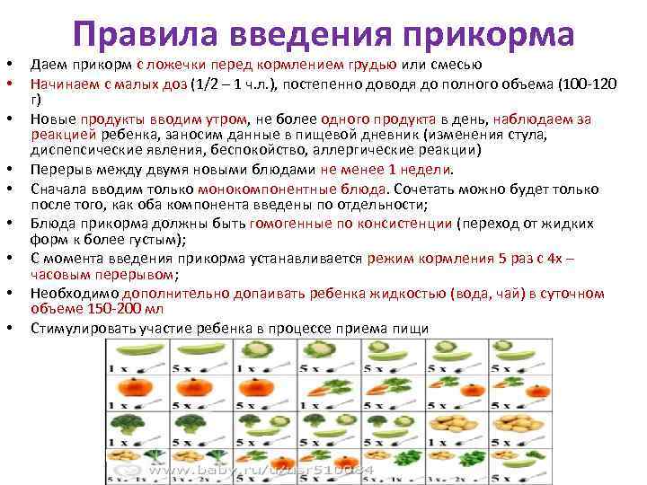 С какого возраста можно давать ребенку клубнику: советы и рекомендации :: syl.ru