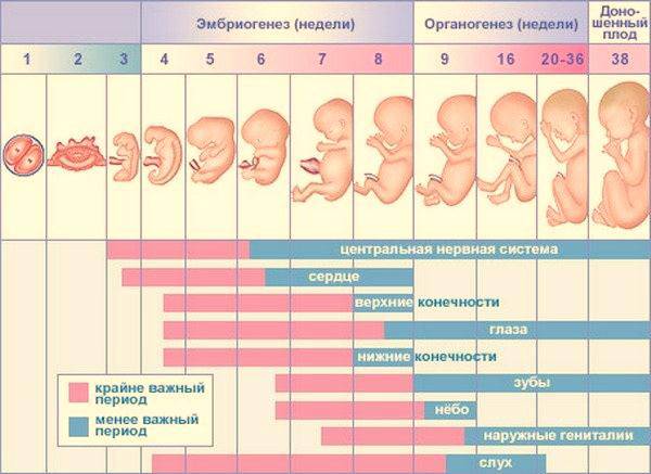 Все о развитии ребенка: месяц седьмой   | материнство - беременность, роды, питание, воспитание
