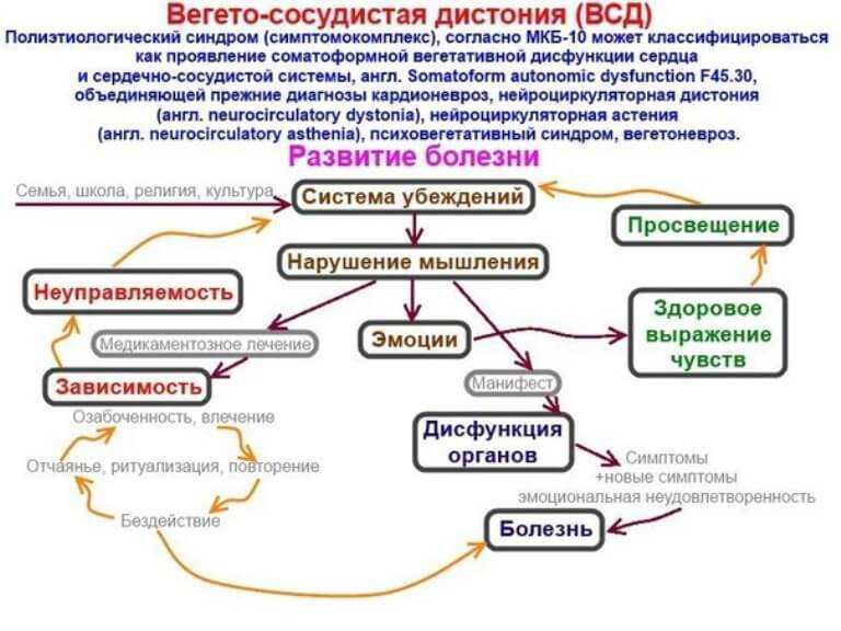 Вегето-сосудистая дистония | itvm.ru институт традиционной восточной медицины