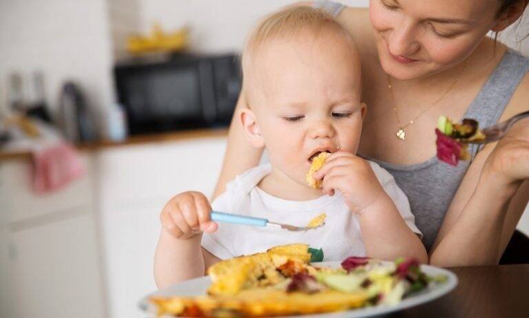 Как научить ребенка жевать пищу: советы комаровского