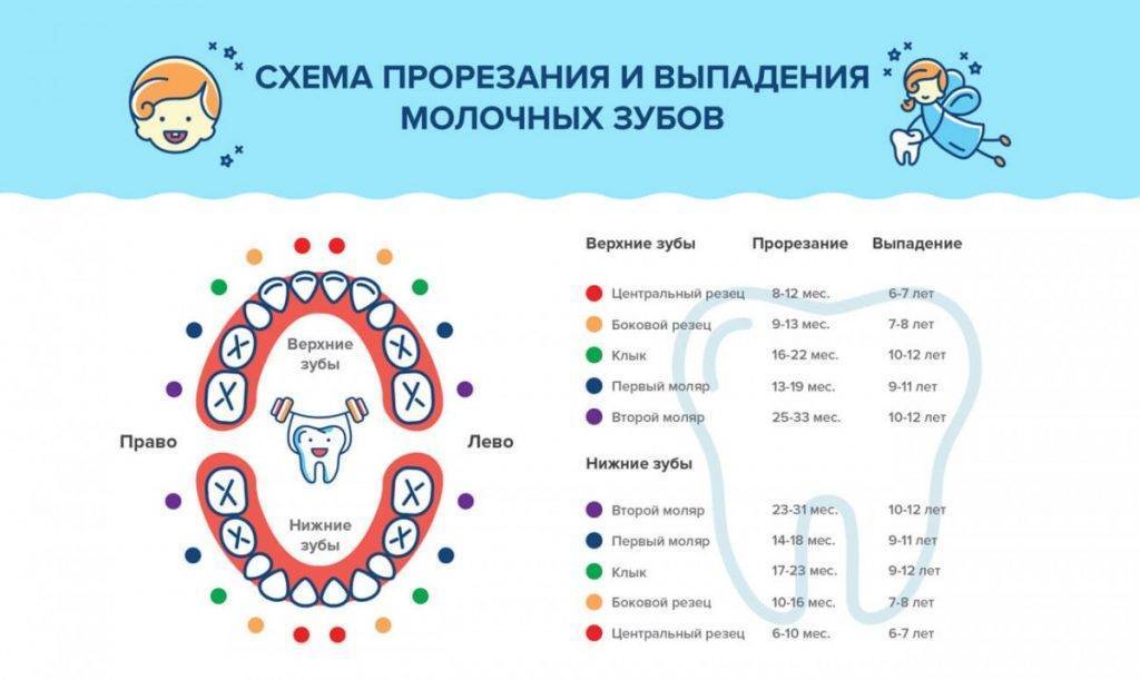 Лечение молочных зубов Томск Северо-Каштачный 2-й стоматология томск на мюнниха 17