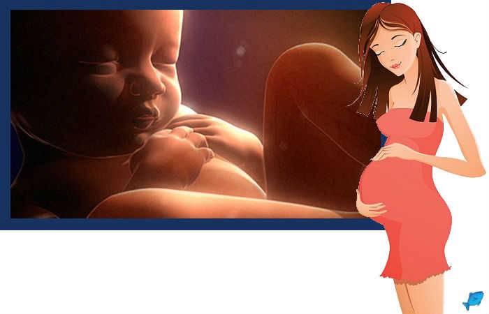 Икота у ребенка в утробе матери: причины, какие ощущения?