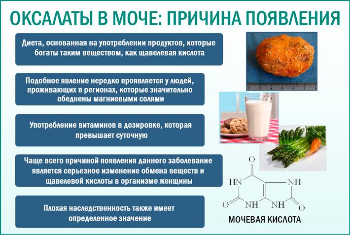 Диета при оксалатных камнях в почках, в моче (оксалатурия) - medside.ru