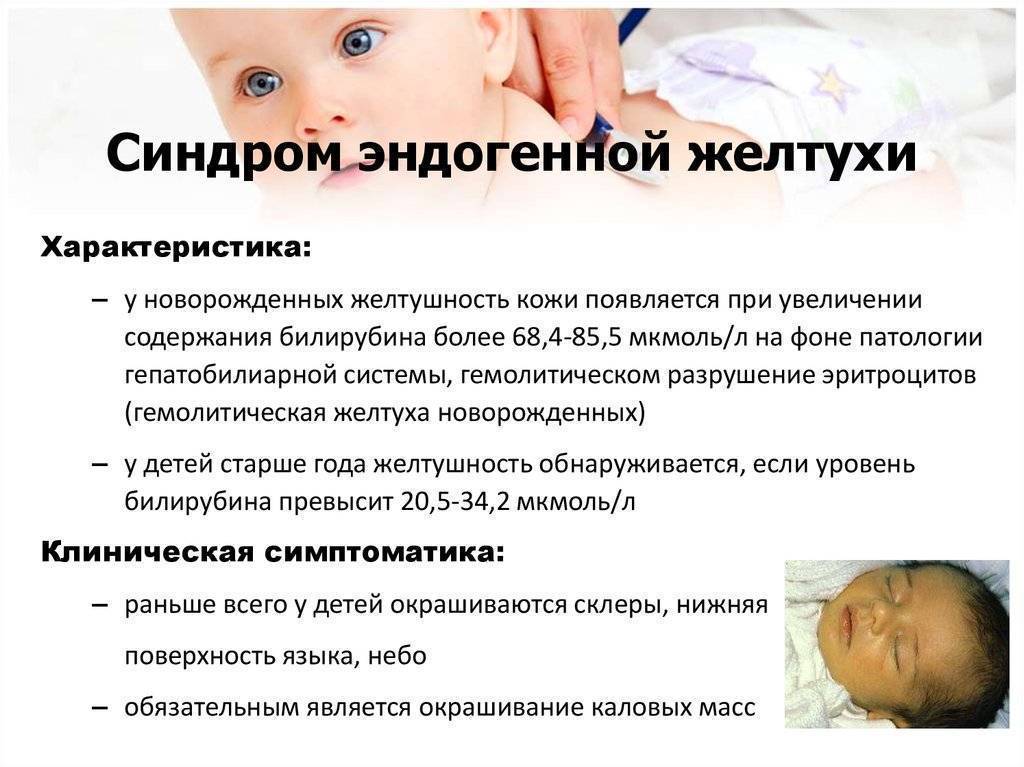Железодефицитная анемия у ребенка - симптомы болезни, профилактика и лечение железодефицитной анемии у ребенка, причины заболевания и его диагностика на eurolab