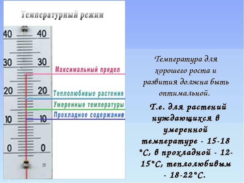 Температура и влажность в помещениях для детей: нормативные значения и способы нормализации показателей