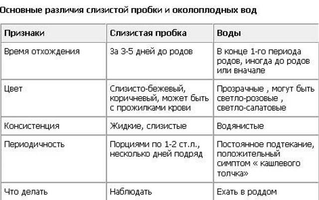 Как отходят воды у беременных перед родами, если отошли воды – через сколько рожать?