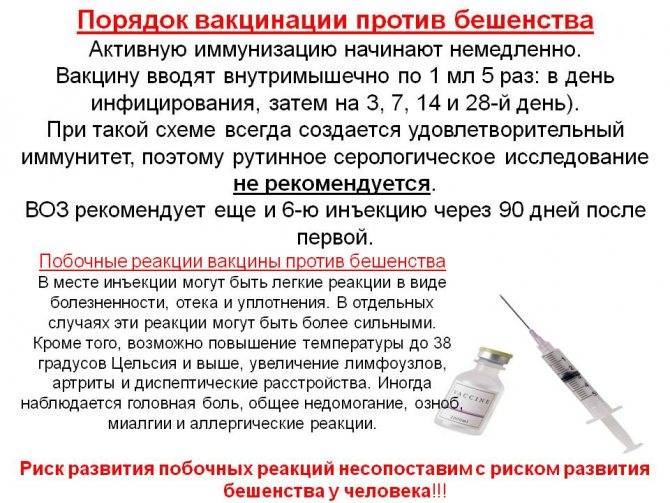 «страха перед вакцинацией не было». что рассказывают привитые от коронавируса. новости общества