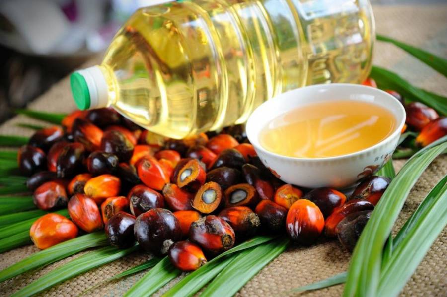 Опасно ли пальмовое масло в детских смесях: польза и вред продукта