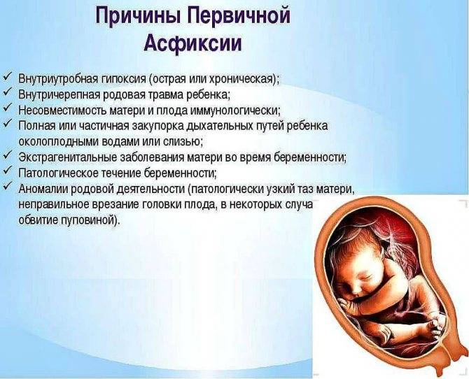 Узи при беременности, сколько раз можно делать, насколько это вредно - отвечает гришкин е.н.
