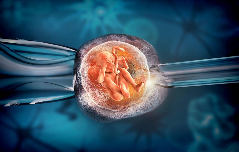 Криоконсервация эмбрионов и хранение 6 месяцев: что это такое, как делается