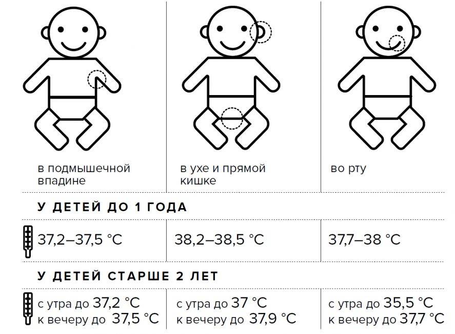 Какая температура должна быть у новорожденного в первые часы, дни и месяцы жизни