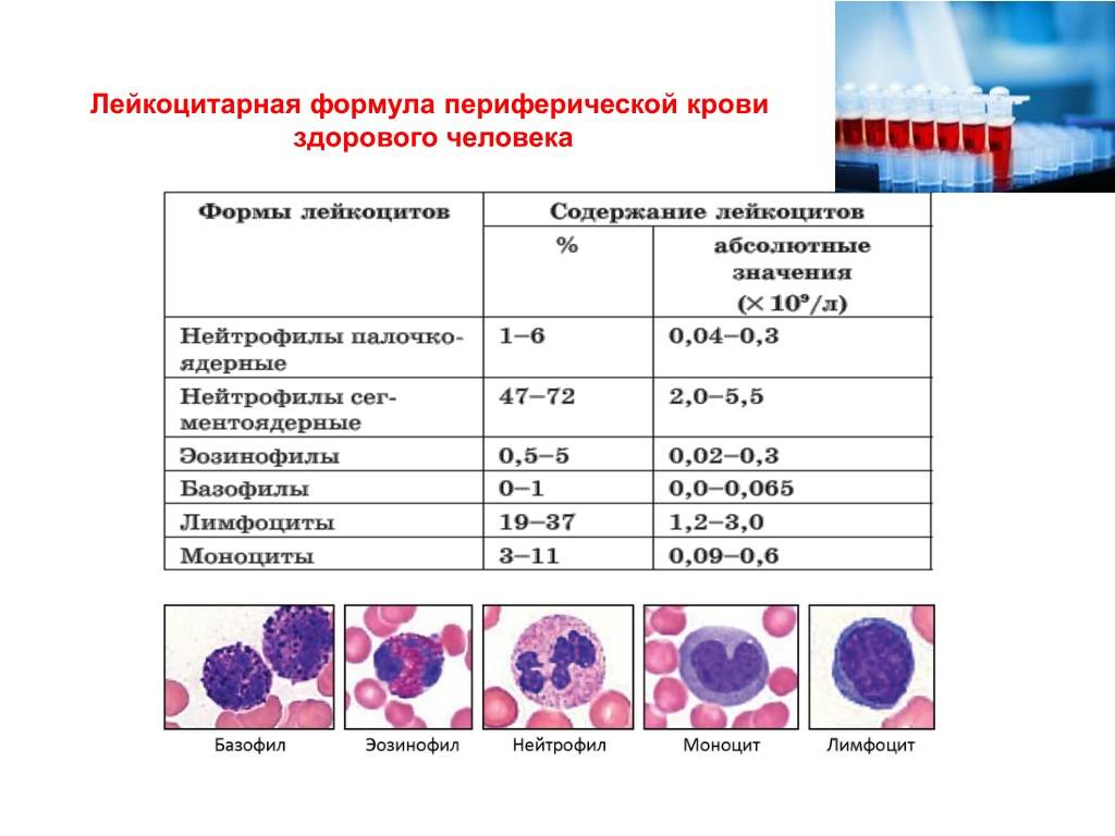Кашель при прорезывании зубов у детей - влажный и сухой | мнение доктора комаровского