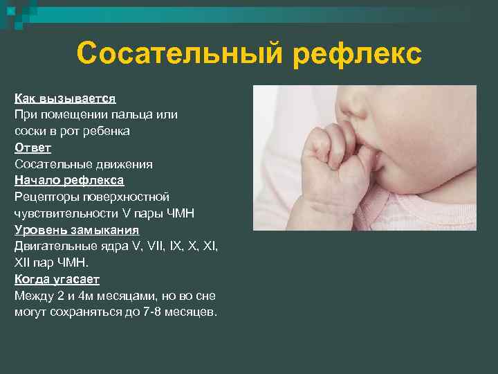 Сосательный рефлекс у новорожденных: что делать, если рефлекса сосания нет, отсутствие и слабая выраженность