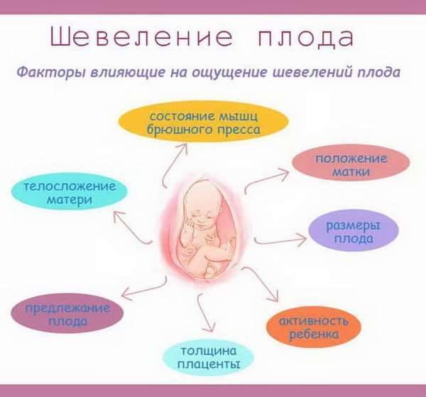 Календарь беременности. 11-я акушерская неделя