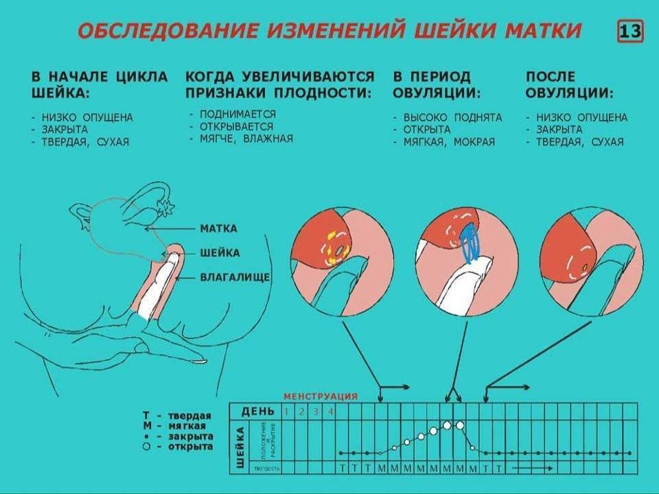 Нерегулярные или избыточные маточные кровотечения