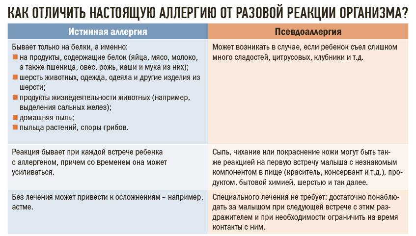 Пищевая аллергия: причины, формы и типичные проявления
