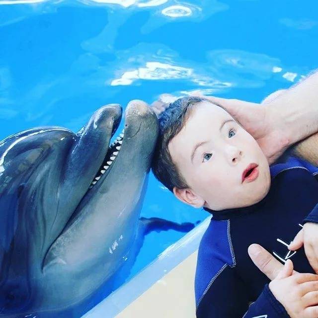 Дельфинотерапия для детей с аутизмом в сети центров немо