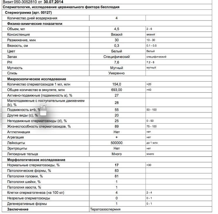 Спермограмма и мар-тест - цена, сдать спермограмму в клинике «мать и дитя» в москве