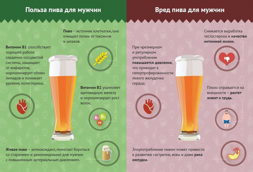 Со скольки лет продают пиво в россии в 2021 г.: с какого возраста можно покупать и пить хмельной напиток - документы и штрафы