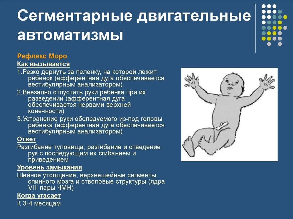 Рефлексы новорожденных и грудных детей: врожденные безусловные и условные / mama66.ru