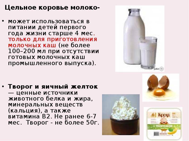 Чем полезно кокосовое молоко, польза и вред экзотического напитка