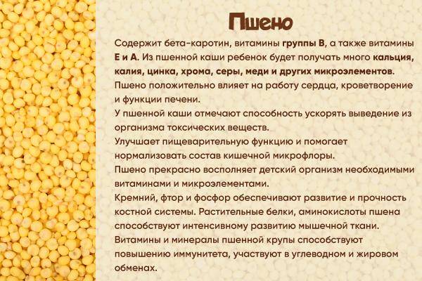 Пшенная каша для ребенка 1 год - лучшие рецепты блюд - vkusnoepitanie.ru