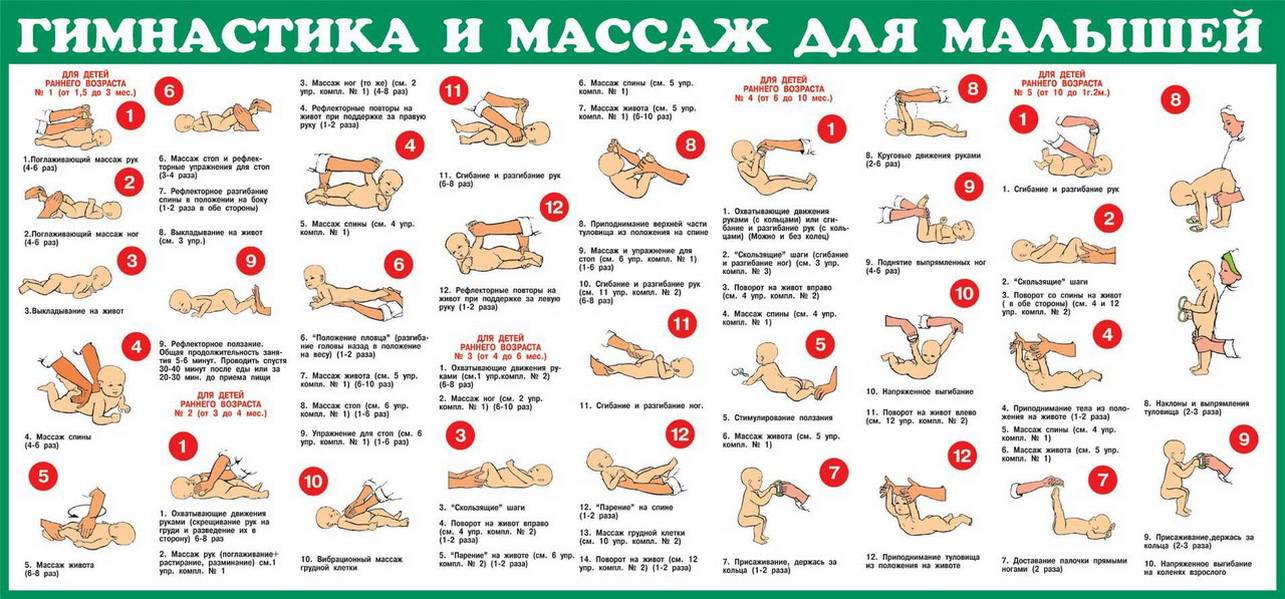 Гимнастика для грудничков: комплекс упражнений и основы их выполнения