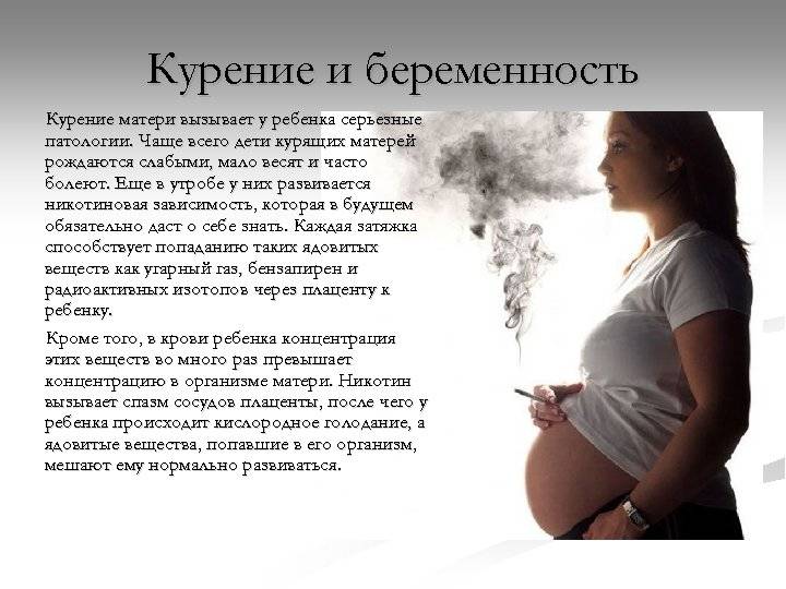 Узи при беременности: подготовка, как делают, что показывает исследование