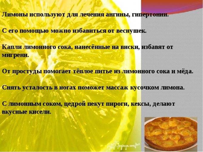 Лимон при грудном вскармливании