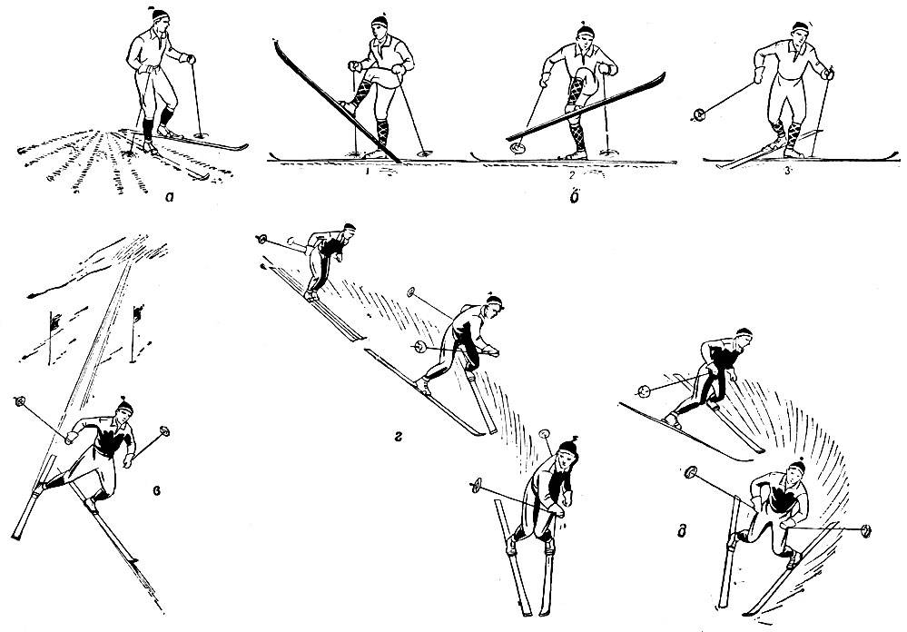 Техника классического хода на лыжах