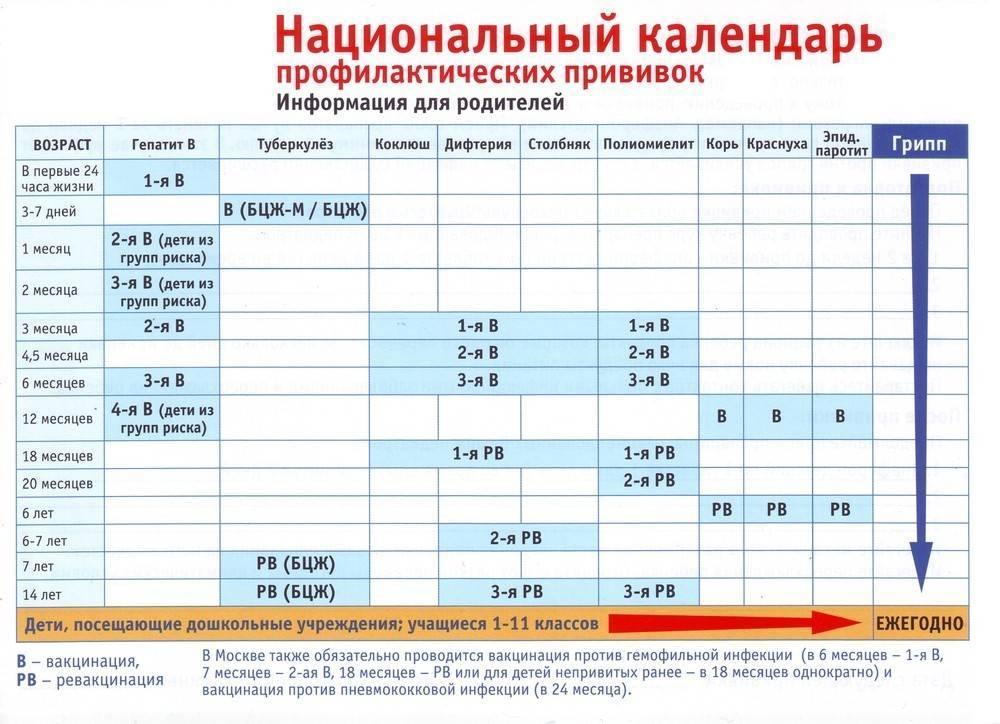 Календарь прививок для детей и взрослых. актуальный график на 2019 год.