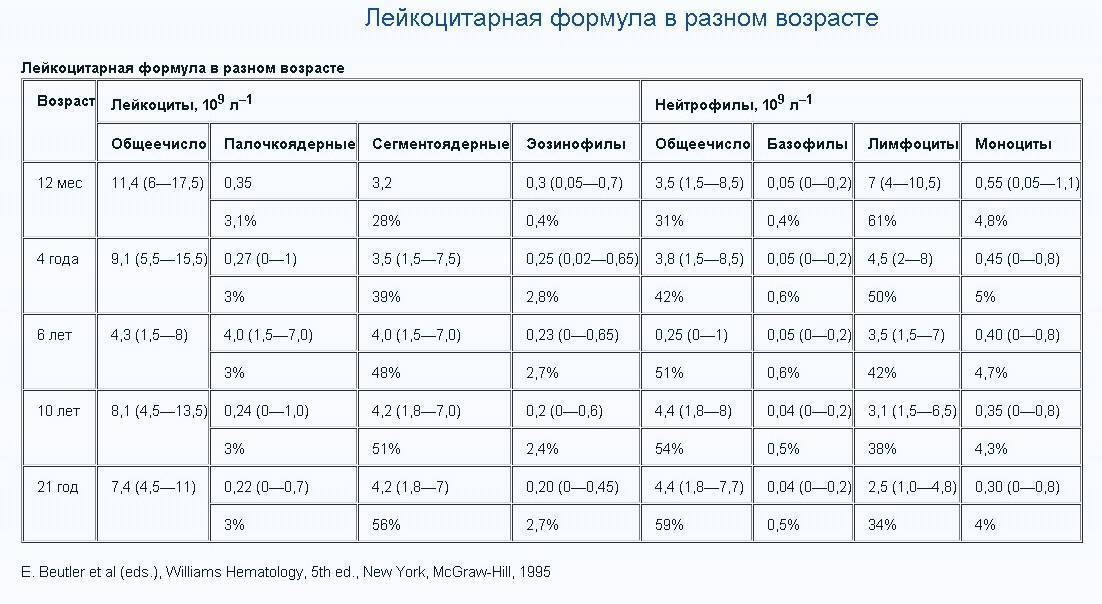 Клинический анализ крови с лейкоцитарной формулой и соэ: исследования в лаборатории kdlmed