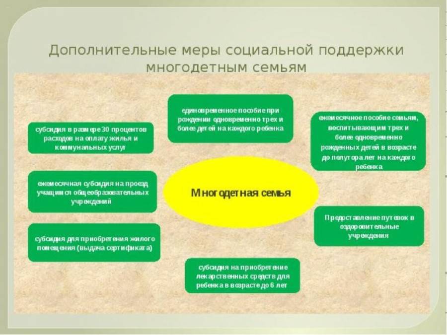 Проблемы социальной защиты. Меры социальной поддержки многодетных семей. Виды социальной поддержки многодетных семей. Меры социальной поддержки детей. Проблемы социального обеспечения многодетных семей.