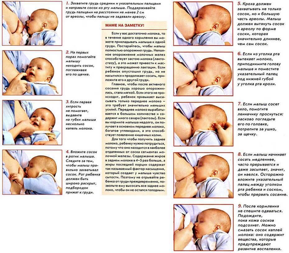 Все, что необходимо знать о  месячных во время кормления грудного ребенка